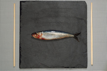 sardine