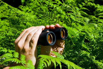Binoculars in hand from the bushes
