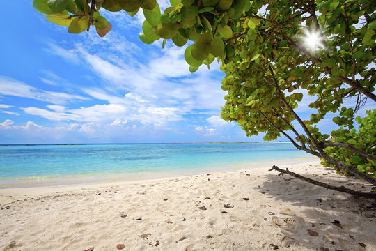 Baby beach