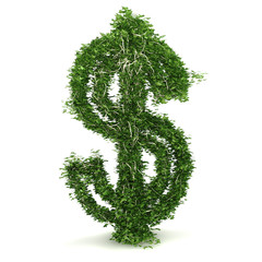 3d rendering of a dollar symbol made of ivy