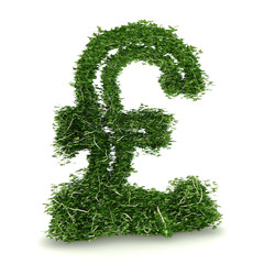 3d rendering of a sterling symbol made of ivy