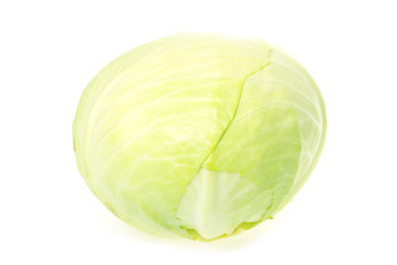 Fototapeta premium cabbage