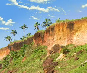 Tropical Cliff in Varkala on Kerala Coastline