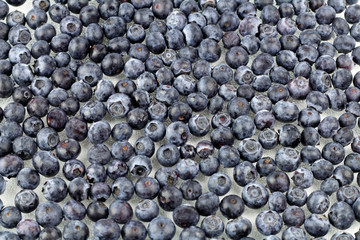 Blueberries on Glass