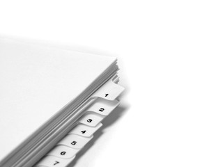 Blank Filings Tabs