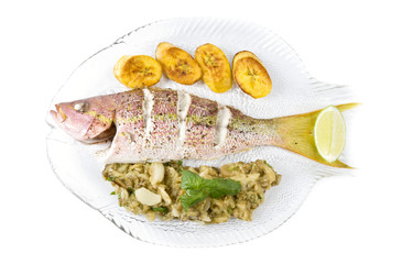 Roasted Yellow Tail Snapper with Eggplant and Plantain