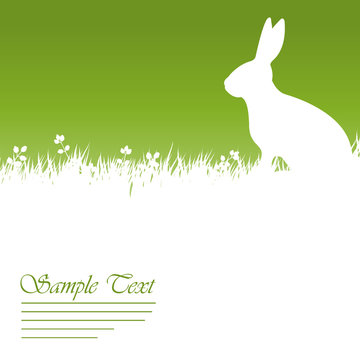 Hase auf Wiese