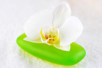 green soap and orchid close up