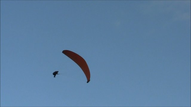 Paragleiter