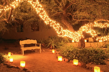 luminarias lead to bench beneath tree with Christmas lights