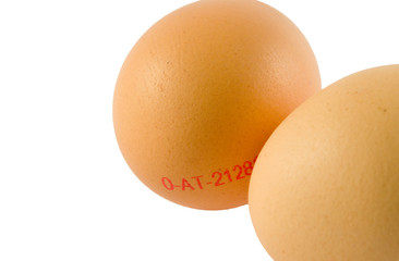 Bio-Eier