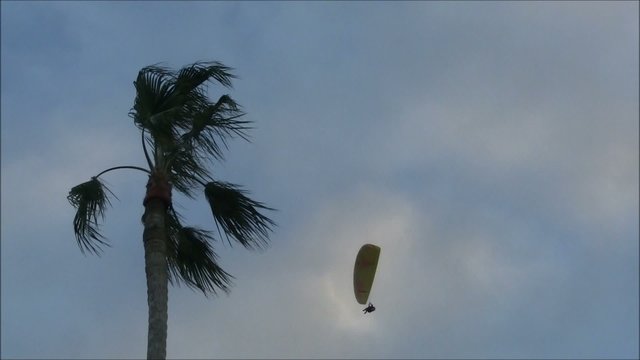 Paragleiter