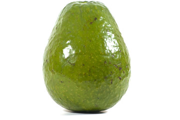 Avocado on White