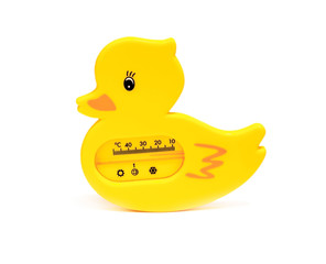 Yellow Duck
