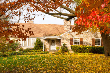 Dom Filadelfia Żółta jesień Jesienne liście Drzewo - 29631423
