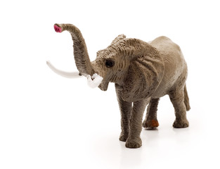 Obraz premium toy elephant, isolated
