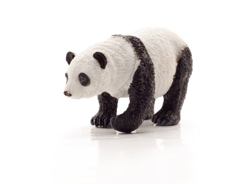 toy panda bear isolated