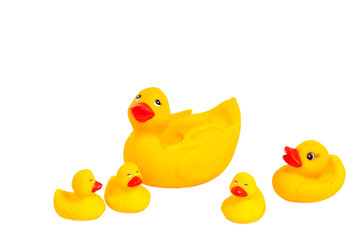 Funny family of bright yellow rubber bath duck toys isolated