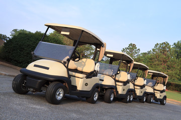 Golf Carts Ready for Players