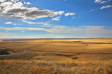 Foto op Plexiglas The American prairie © Kushnirov Avraham