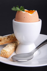 egg boiled and toast
