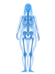 übergewichtige Frau - Anatomie