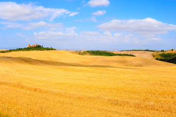 Meadows Of Tuscany