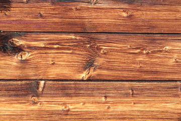 Fototapeta premium Holz