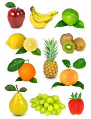 collection of fruit
