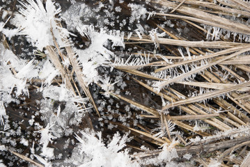 Ice