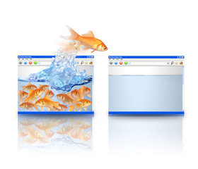 Gold Fish Moving to Better Website