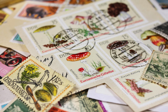 Briefmarke mit Fliegenpilz