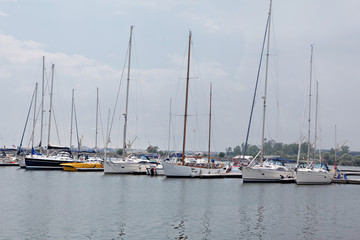 Fototapeta premium yacht club regatta