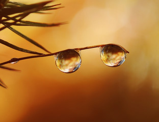 Obraz premium Color water drop