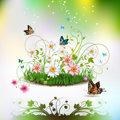 Flowers in the grass and butterflies