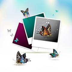 Photos collection with butterflies over sky background