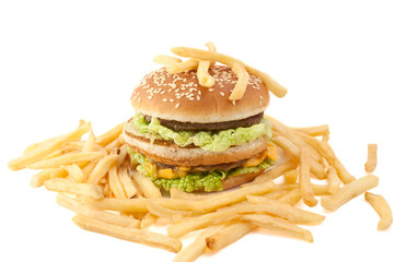 cheeseburger with fries