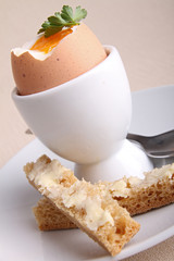 Fototapeta premium oeuf a la coque