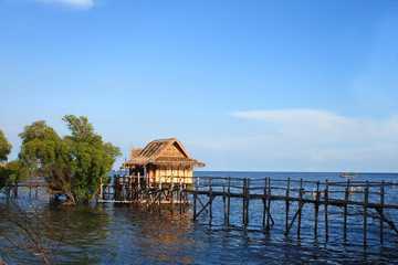 wooden house beside the sea