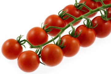 grappe de tomates cerises