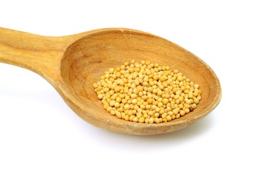 Seeds of mustard