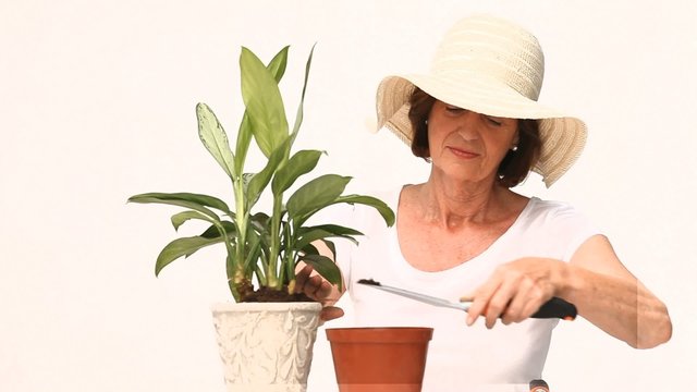 Elderly woman doing some gardening against a white background