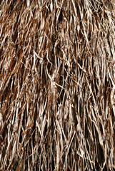 Background from thatch