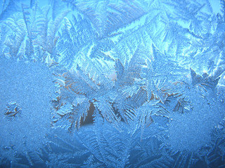 Frosty pattern on winter window