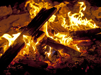 Wood burning on a bonfire