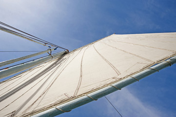 Sail of an old felluca