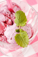 berry ice cream