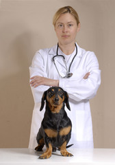 La salud de mi perro.