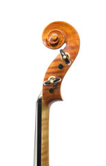 violino