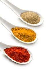 various spicy powder